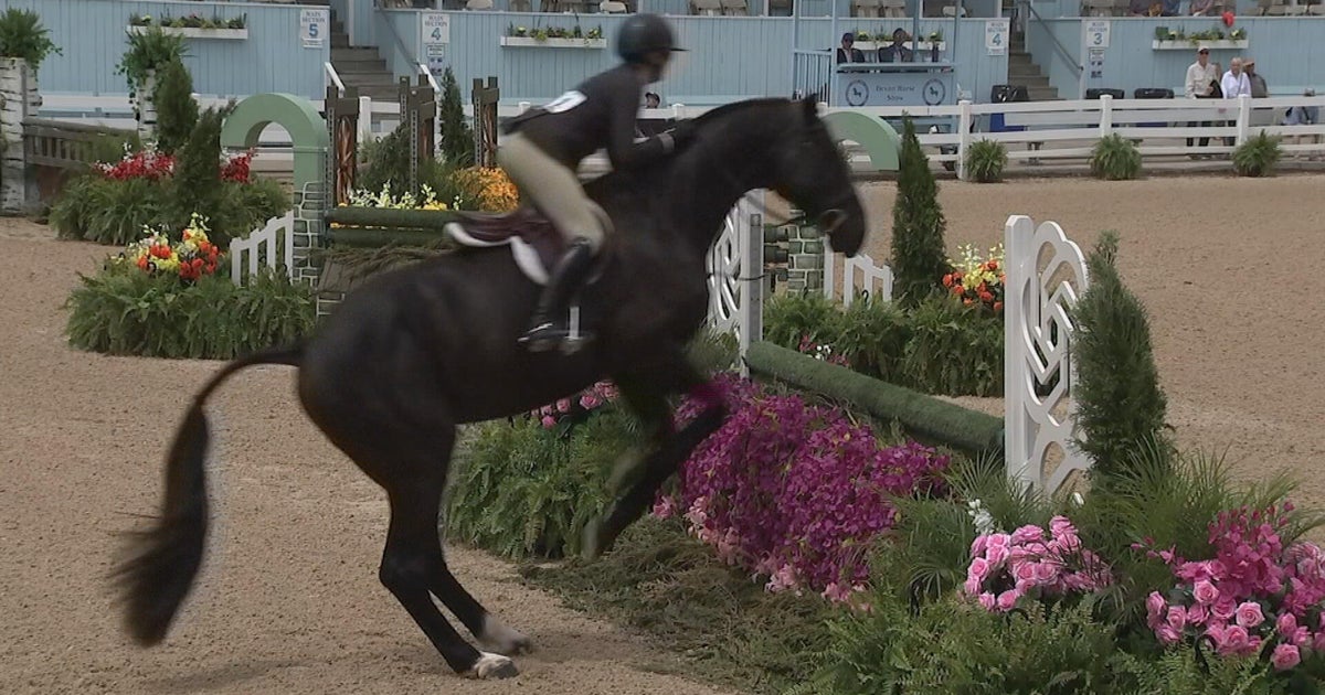 Global Equestrian Talent Converges at Devon Horse Show