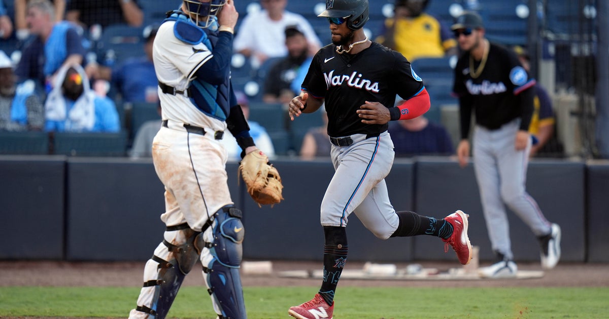 Hernandez's Late Hit Secures Marlins' Victory Over Rays