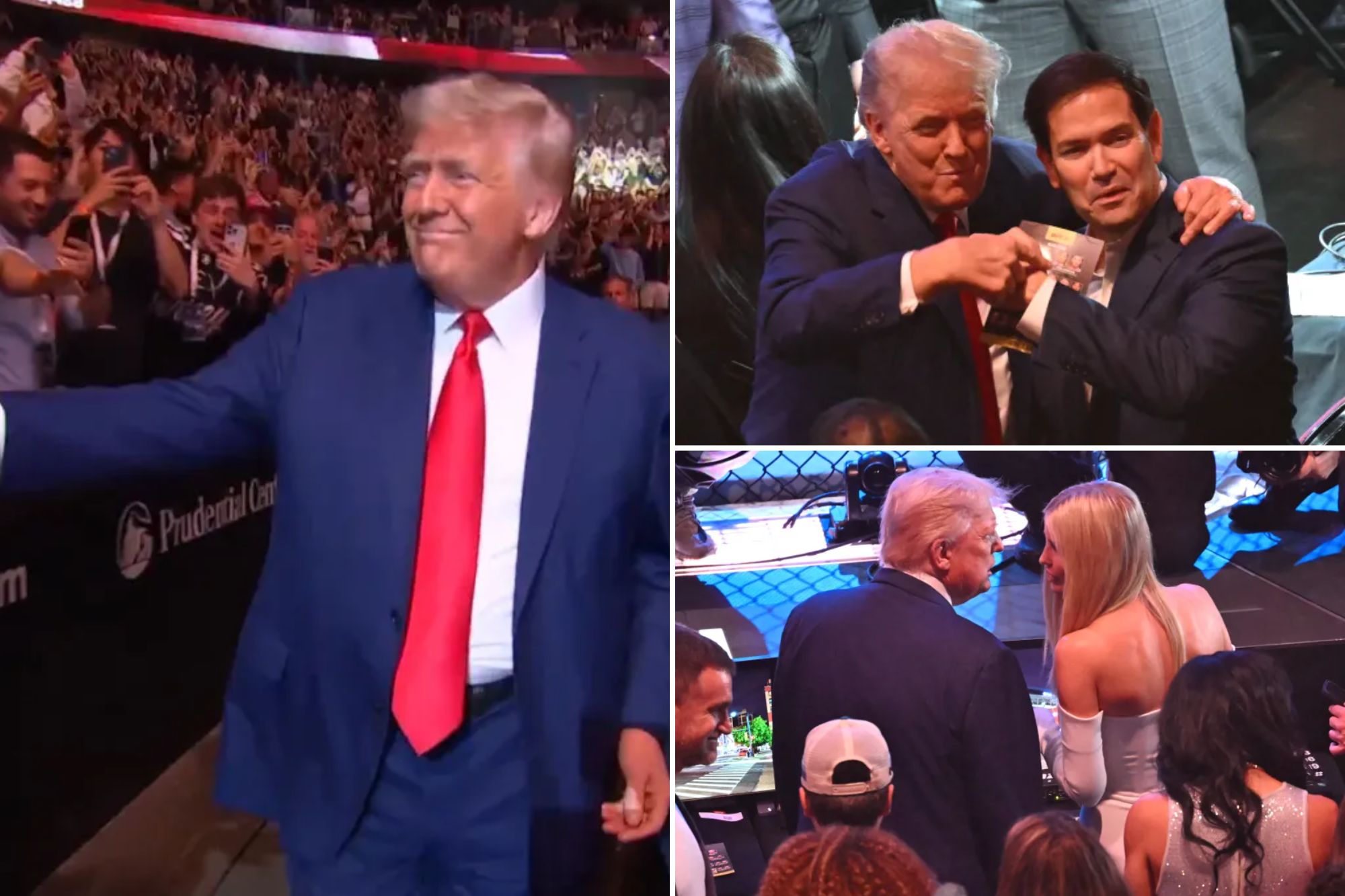 Trump Receives Raucous Welcome at UFC 316
