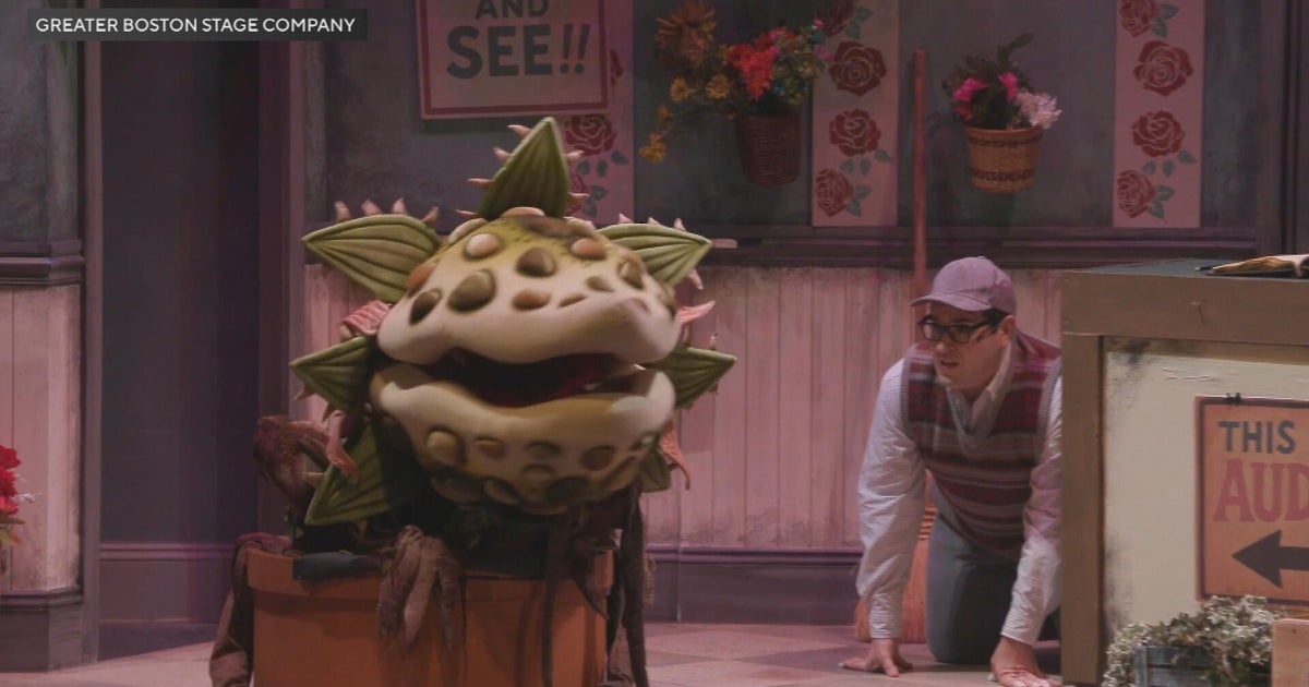 Innovative Puppeteering and Acting Shine in Massachusetts' 