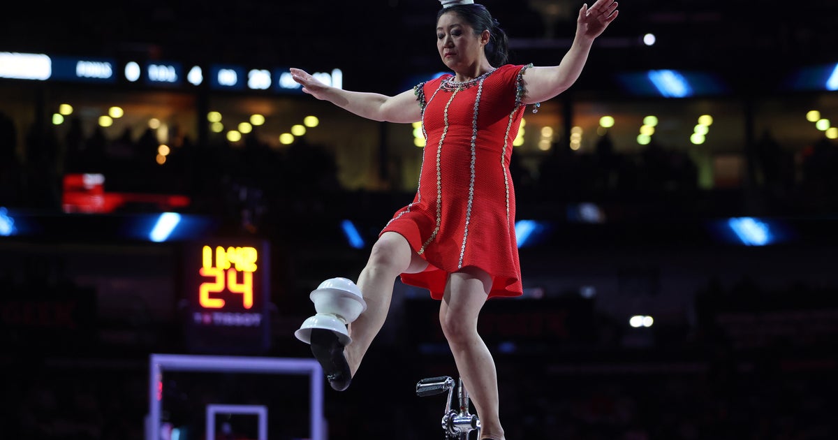 Red Panda Injured During WNBA Halftime Show