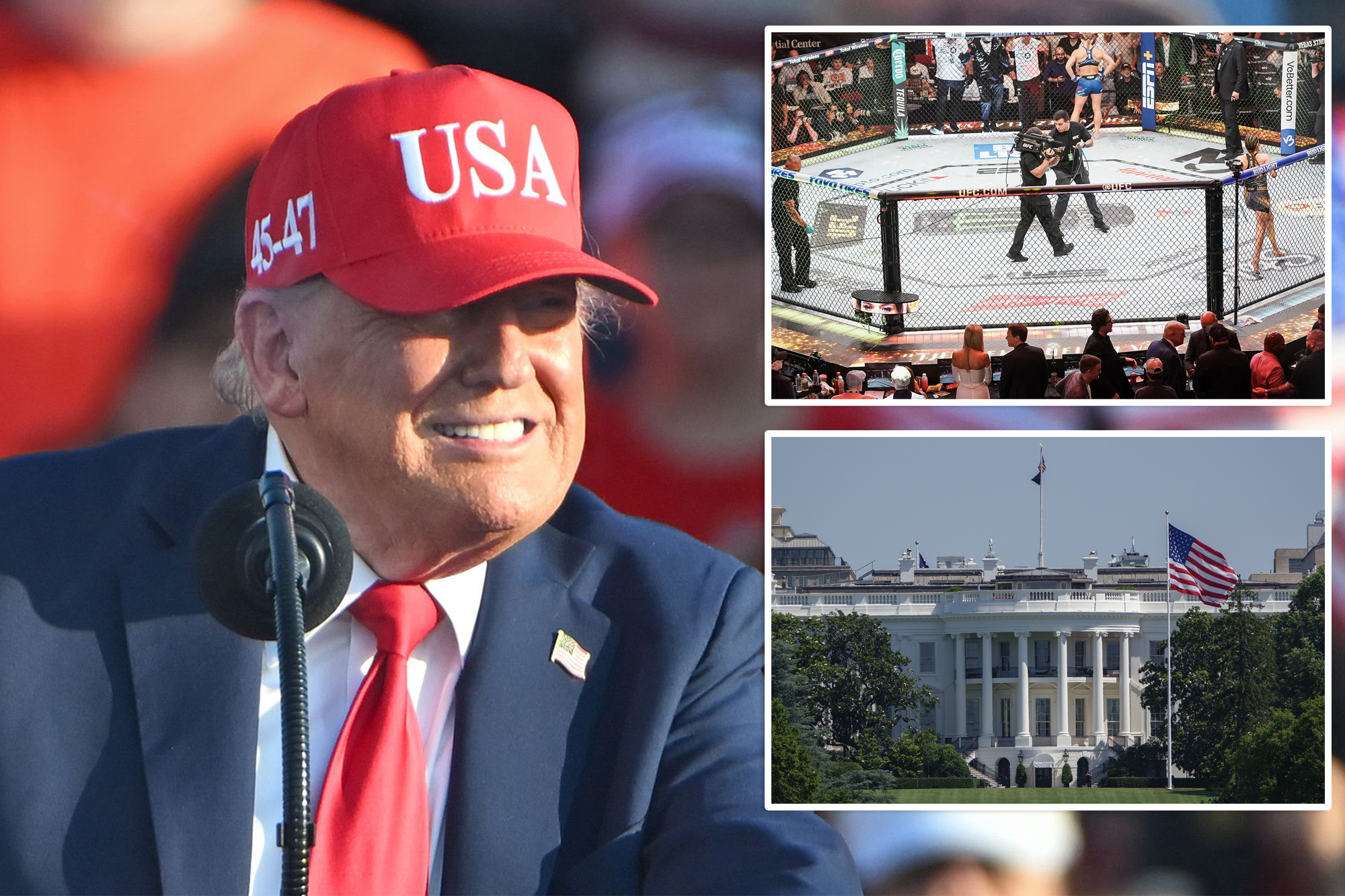 Trump Plans UFC Title Fight at White House for America250
