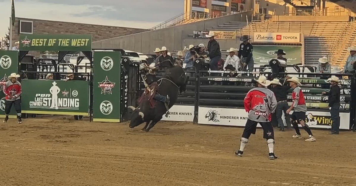 CSU to Host Expanded Pro Bull Riding Event in 2026