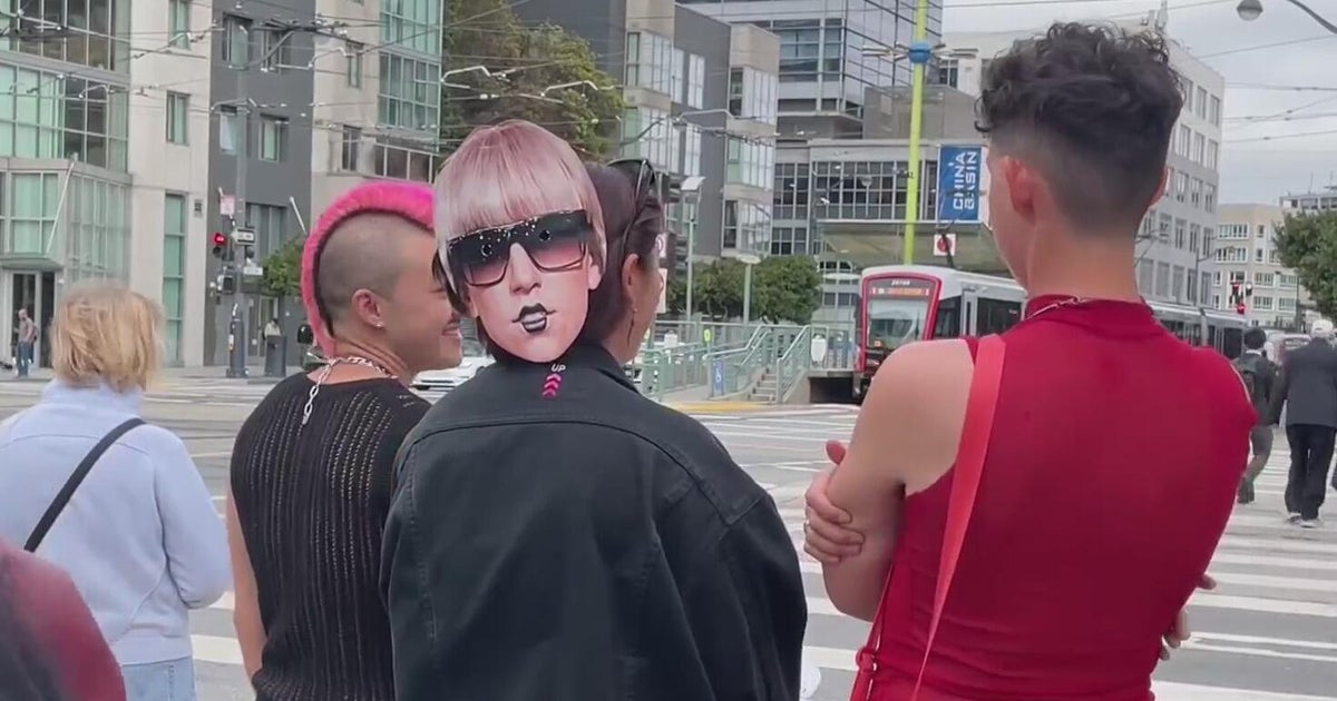 Lady Gaga Fans Ride Themed Caltrain to Concert