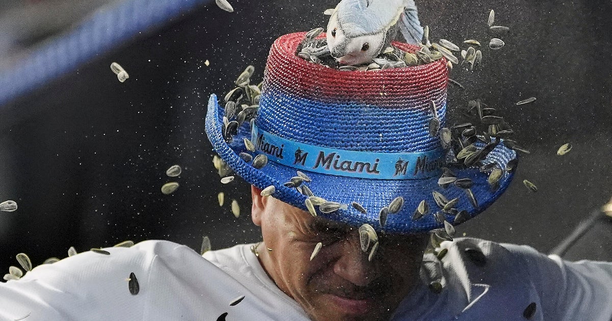 Marlins Triumph Over Astros 6-4, Ending Losing Streak