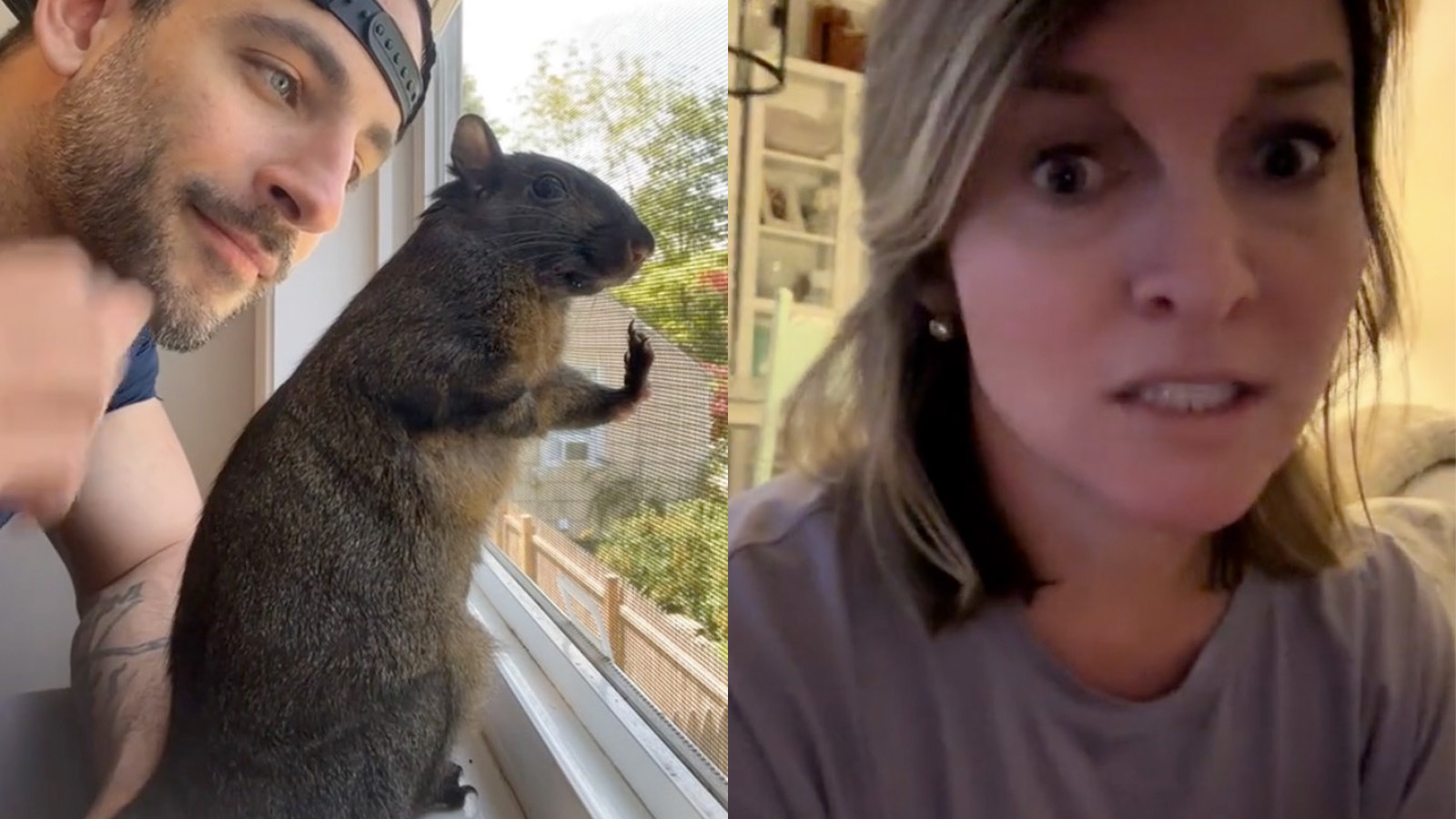 Woman's Response to False Accusations in Peanut the Squirrel's Tragic Story