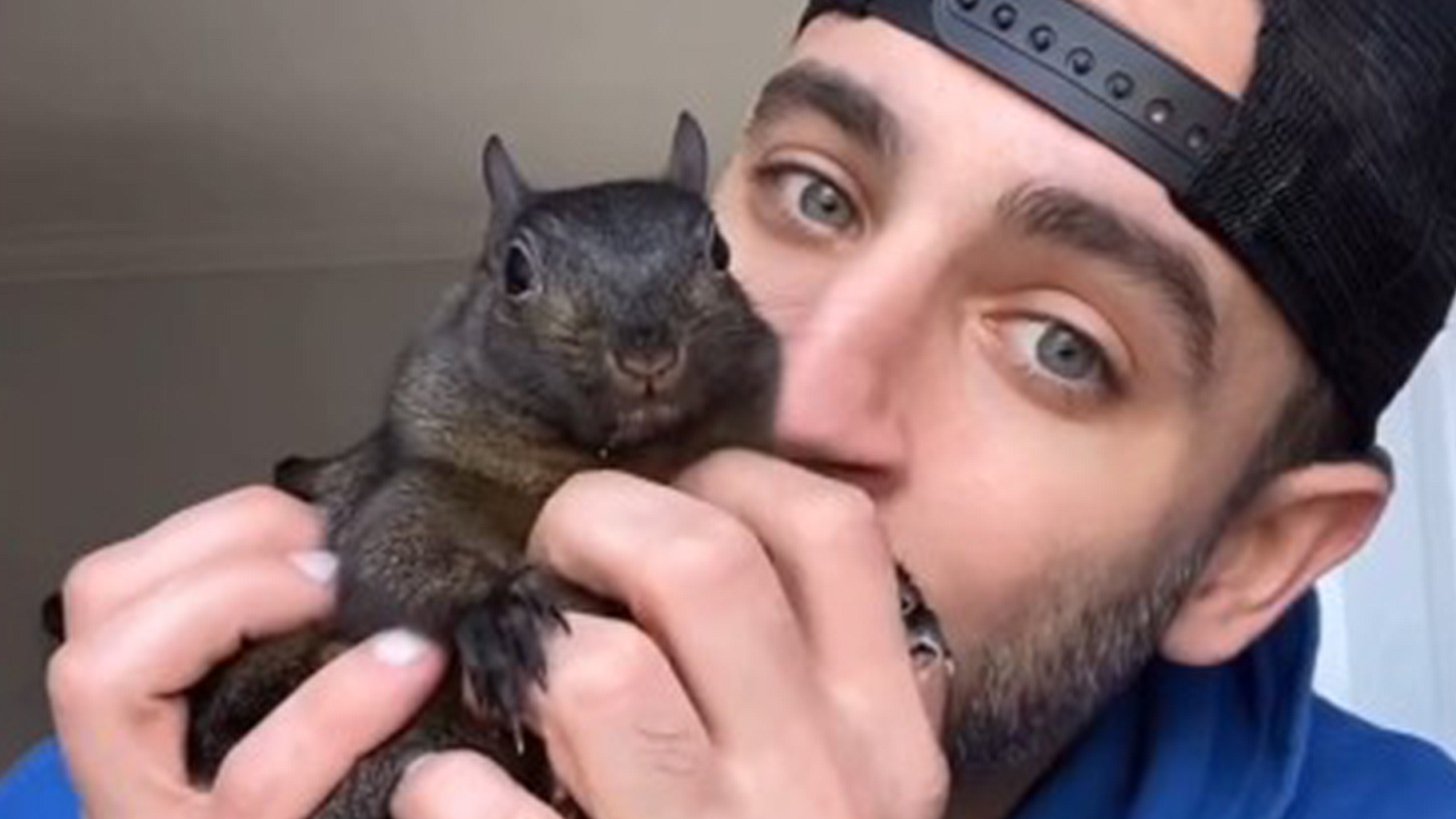 Outrage as New York Puts Down Peanut the Squirrel Despite Lack of Rabies