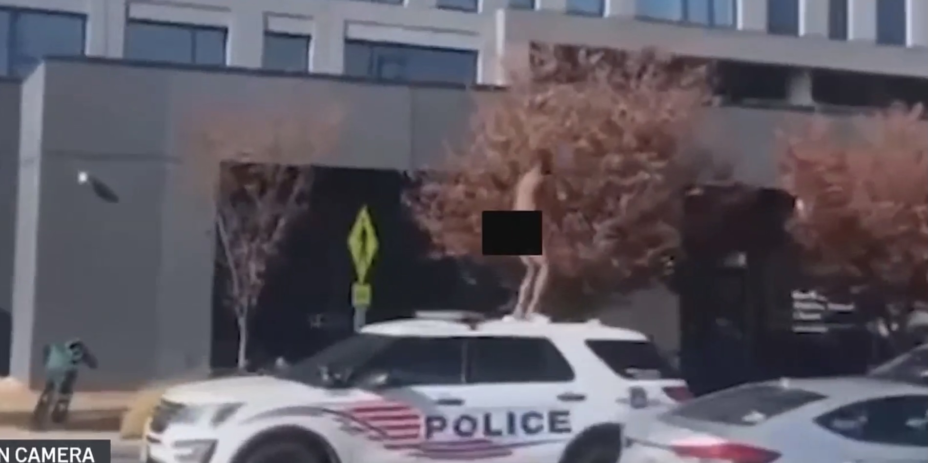 Naked Man Spotted Dancing on Moving Police Cruiser in DC